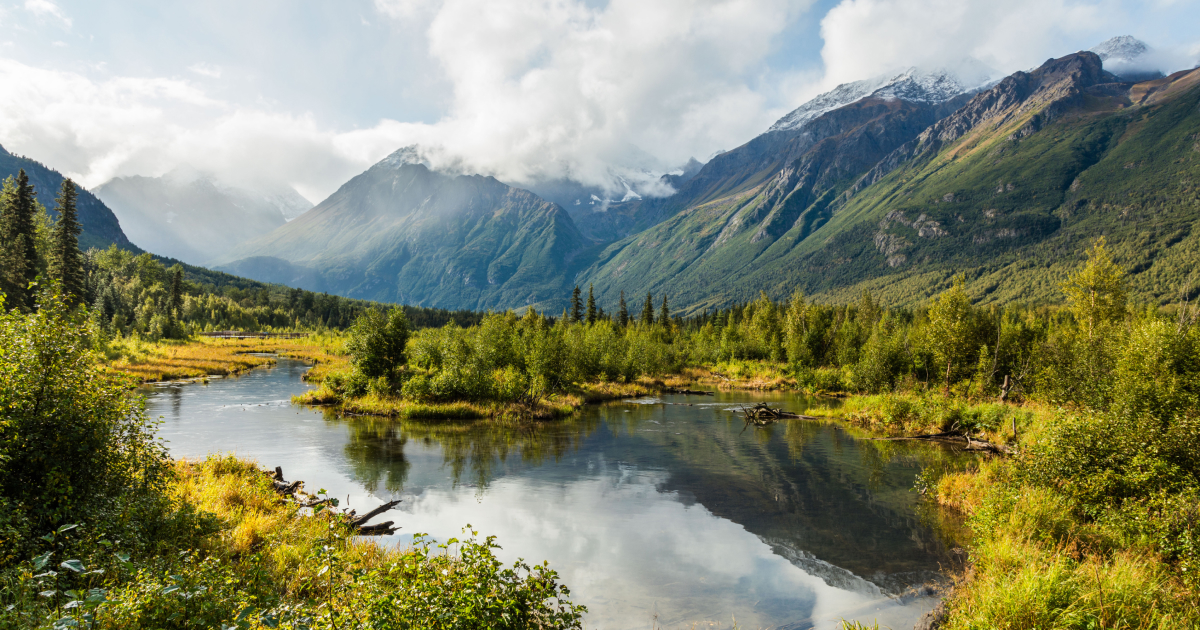Thumbnail of What is Planetary Health? - Planetary Health Alliance