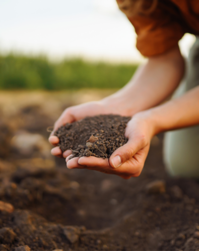 Hands picking up dirt from the ground and holding it