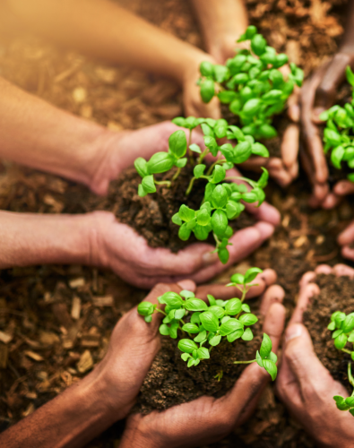 People holding plants representing resources