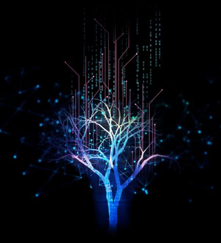 A futuristic image of a multi colored tree made up of computer code against a black background.