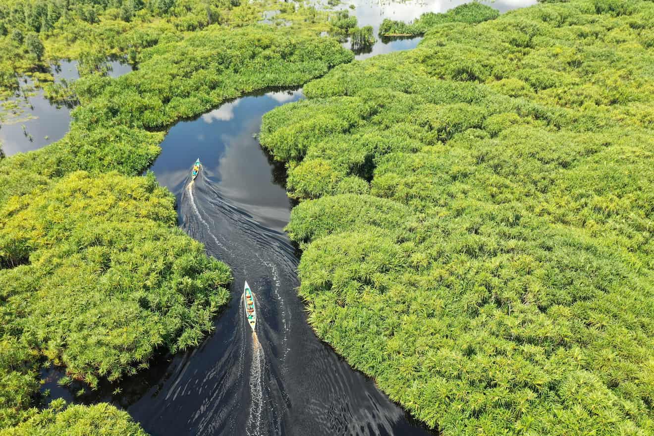 A view of Kereng Bangkirai in Sebangau National Park, Indonesia, where blackwater channels weave through a lush green landscape. Two boats drift quietly on the water. This photograph is by Barkah Wibowo.