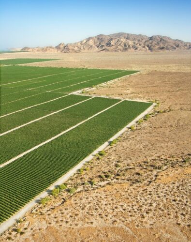 Aerial view of green agricultural fields contrasting with adjacent arid desert, with brown mountains in the background under a clear blue sky.