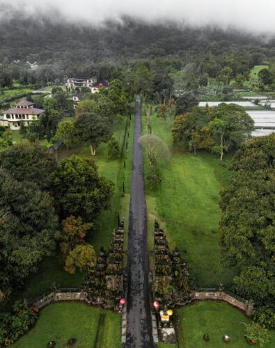 Aerial view of a road lined with trees in Indonesia, showcasing the natural landscape and urban elements.