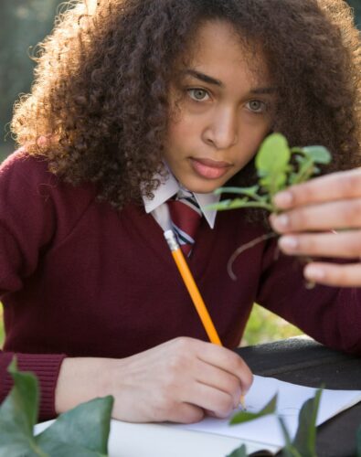 A student in a maroon sweater focuses intently on a plant, pencil poised over a notebook. Sunlight filters through trees, creating a studious, serene vibe.