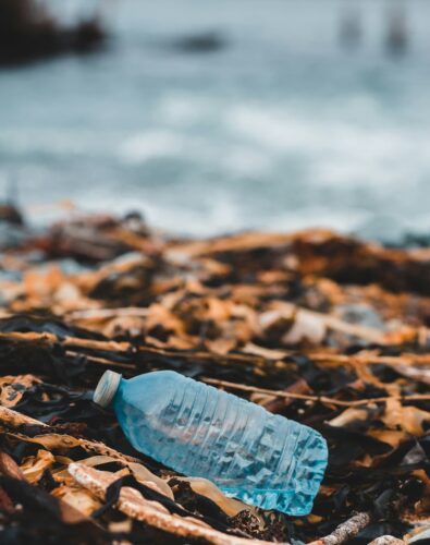 A slightly crumpled blue plastic bottle lies on a rocky shoreline covered with brown seaweed, highlighting environmental pollution by the ocean.