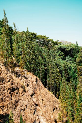Rocky cliffside meets vibrant trees under a bright blue sky.