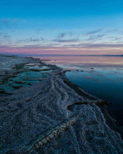 The Salton Sea in Southern California supports large populations of mosquitoes due to its warm climate and wetlands, which serve as ideal breeding grounds for mosquito-borne diseases. Photograph by Sherman Yang.