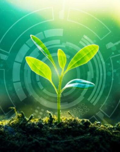 Young Sprout Agricultural Technologies Banner