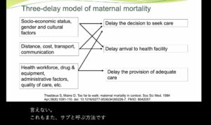 Professor Noriko Fujita during her powerful talk on gender and climate
