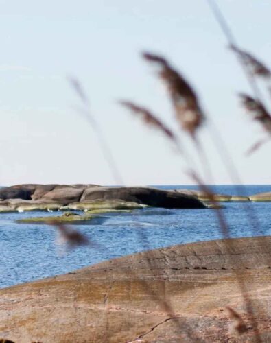 Rocky outcroppings amidst the ocean