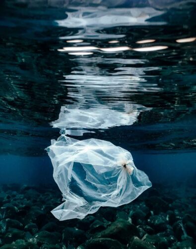 A single use plastic bag floating underwater near the surface in Bali, Indonesia. Photo credit: Naja Bertolt Jensen.